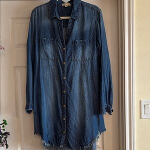 Cloth and Stone/Anthro dress